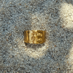 Bague Sauvage personalisable