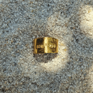 Bague sauvage "Sauvage"